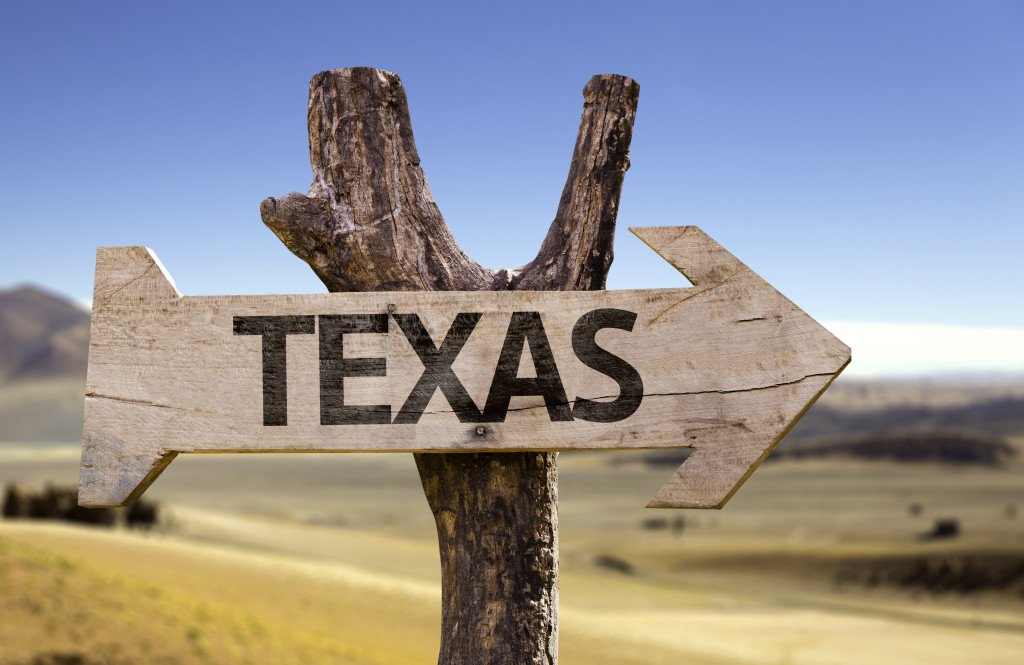 Dead tree and texas