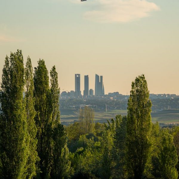 country with a city in the background