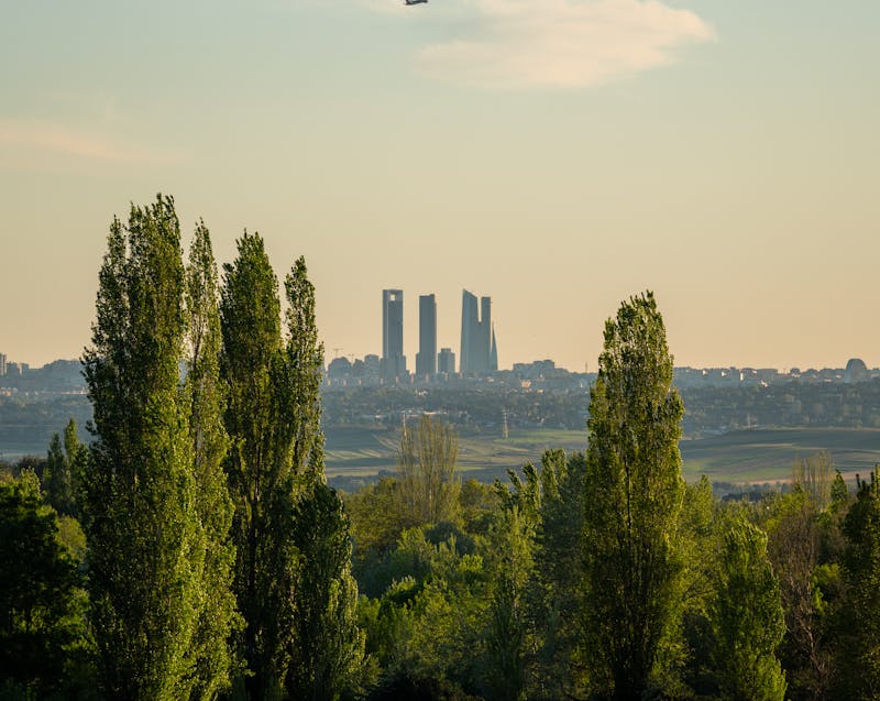 country with a city in the background